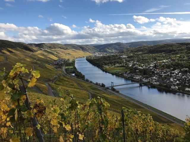 Ferien-Wein-Gut Keifer Hotel Bernkastel-Kues Kültér fotó